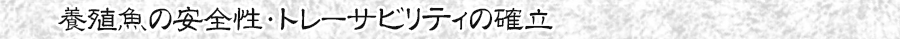 養殖魚の安全性・トレーサビリティの確立