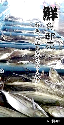 鮮魚卸売