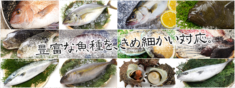 豊富な魚種を、きめ細かい対応。